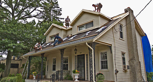 Professional Roofing Contractor in Huntsville, TN