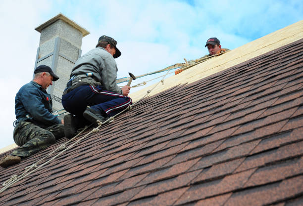 Best Roof Maintenance Services  in Huntsville, TN