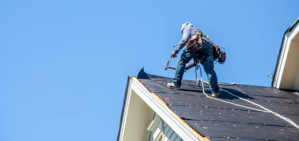 Best Storm Damage Roof Repair  in Huntsville, TN